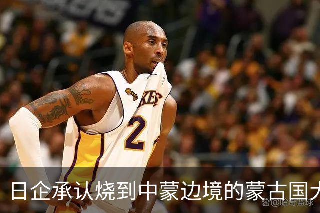 日企承认烧到中蒙边境的蒙古国大火是其高管活动引发
