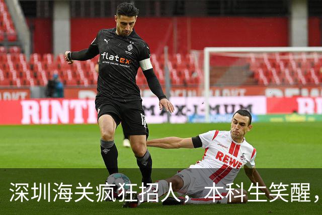 深圳海关疯狂招人，本科生笑醒，这几个专业简直是“天选之子”！
